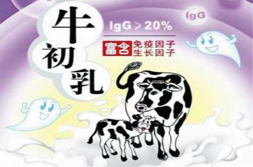 牛初乳十大品牌 十大牛初乳品牌排行榜 牛初乳哪个品牌好？