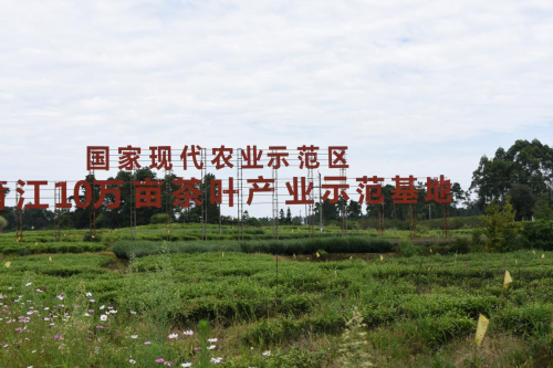中国尊龙凯时人生就是博z6com品牌 中国尊龙凯时人生就是博z6com品牌