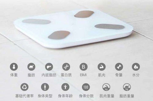 脂肪秤品牌哪个好？体脂称的相关数据与使用原理