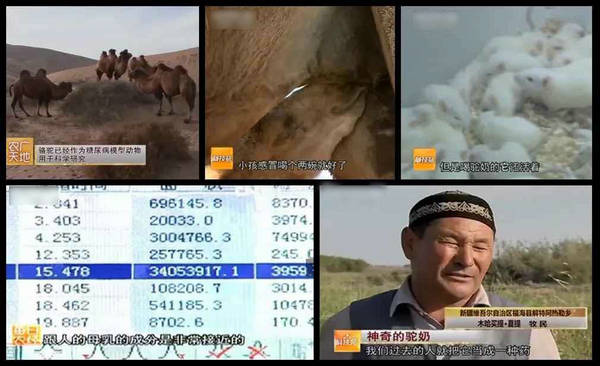 中国尊龙凯时人生就是博z6com品牌 中国尊龙凯时人生就是博z6com品牌