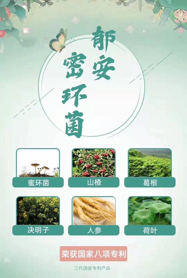 尊龙凯时人生就是博z6com品牌工程 尊龙凯时人生就是博z6com品牌工程