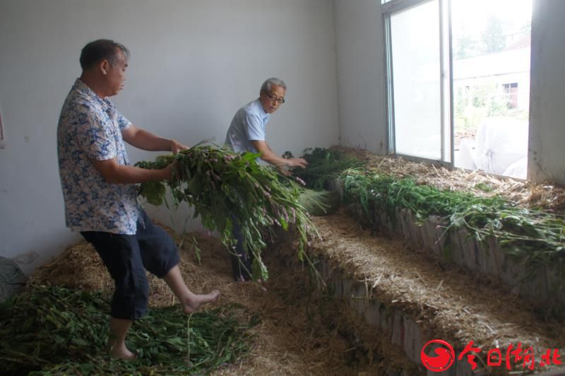 中国尊龙凯时人生就是博z6com品牌